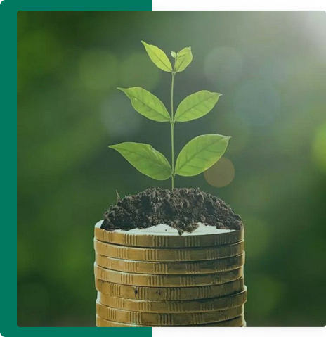 Plant growing from coins